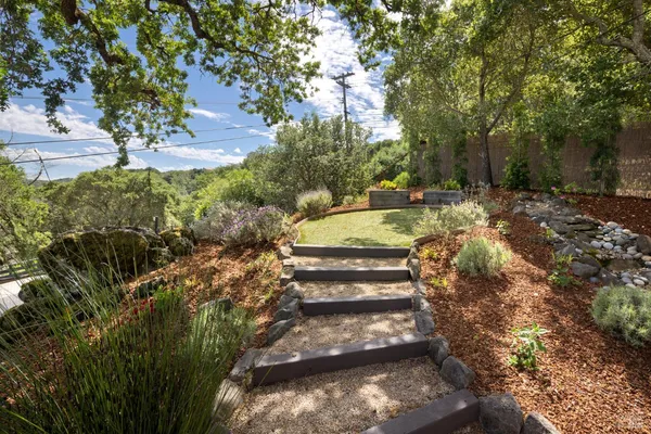 a view of a yard with plants