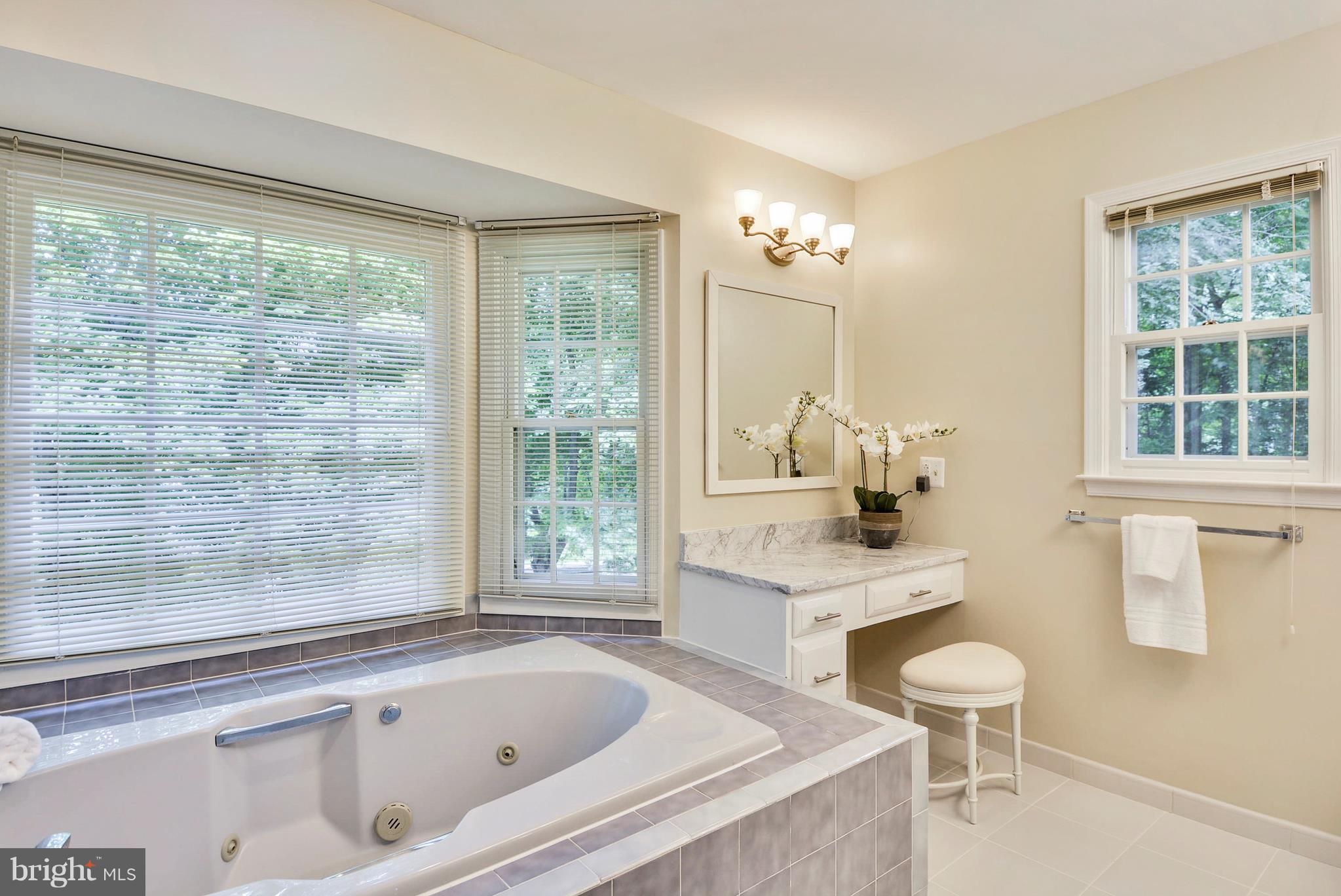 6505 Deidre Terrace McLean, VA 22101 - Photo 17 of 30 a bathroom with a sink and a bathtub