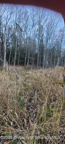 a view of backyard with green space