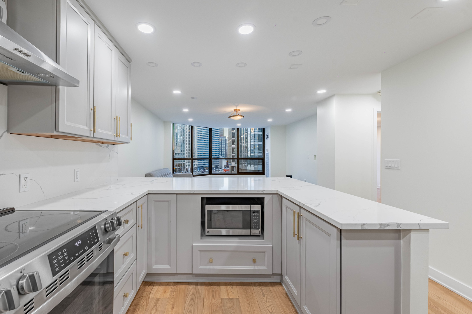 405 North Wabash Avenue, Unit 207 Chicago, IL 60611 - Photo 8 of 30