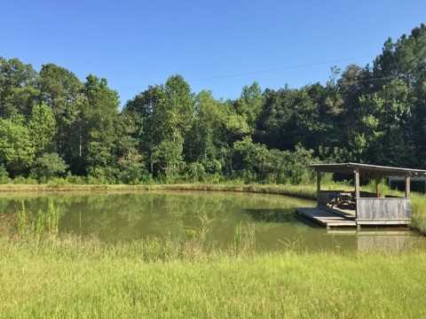 20909 Busby Road Vancleave, MS 39565 - Photo 17 of 25 Additional Photo