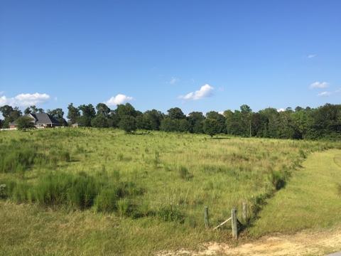 20909 Busby Road Vancleave, MS 39565 - Photo 18 of 25 Additional Photo
