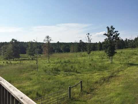 20909 Busby Road Vancleave, MS 39565 - Photo 19 of 25 Additional Photo