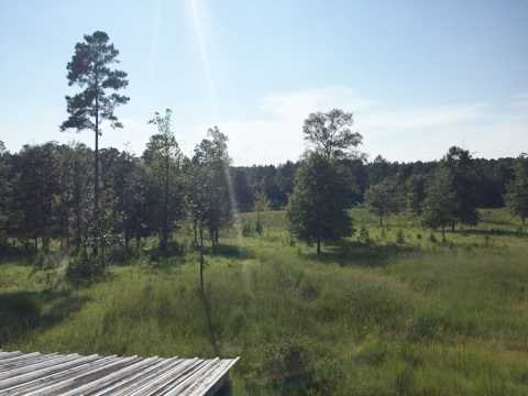 20909 Busby Road Vancleave, MS 39565 - Photo 20 of 25 Additional Photo