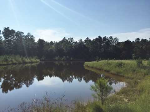 20909 Busby Road Vancleave, MS 39565 - Photo 21 of 25 Additional Photo