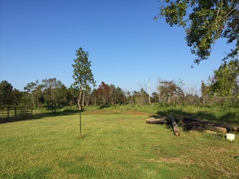 20909 Busby Road Vancleave, MS 39565 - Photo 23 of 25 Additional Photo