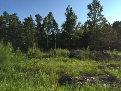 20909 Busby Road Vancleave, MS 39565 - Photo 24 of 25 Additional Photo