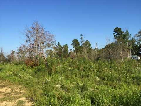 20909 Busby Road Vancleave, MS 39565 - Photo 25 of 25 Additional Photo