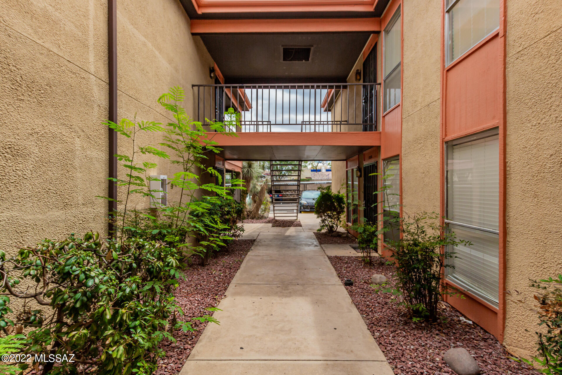 1620 North Wilmot Road, Unit D273 Tucson, AZ 85712 - Photo 3 of 15 a view of a house with potted plants