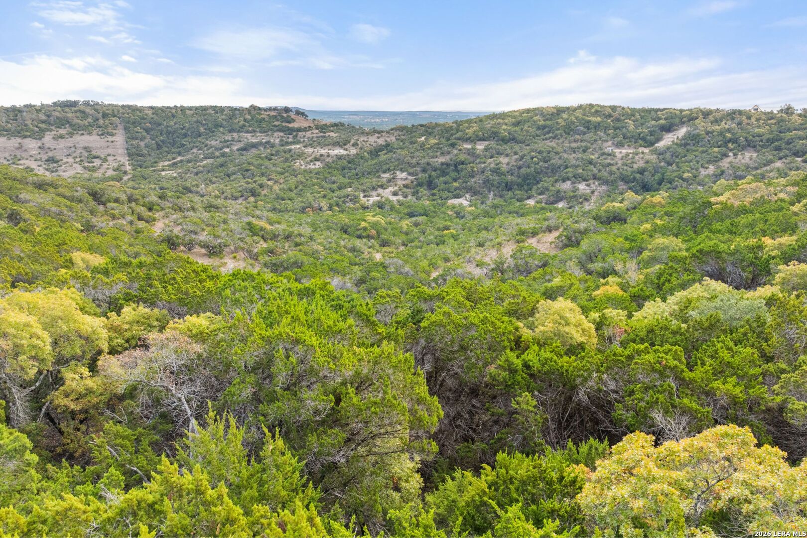 1600 Brushy Ridge Trail Blanco, TX 78606 - Photo 37 of 43 a view of a field with mountains in the background