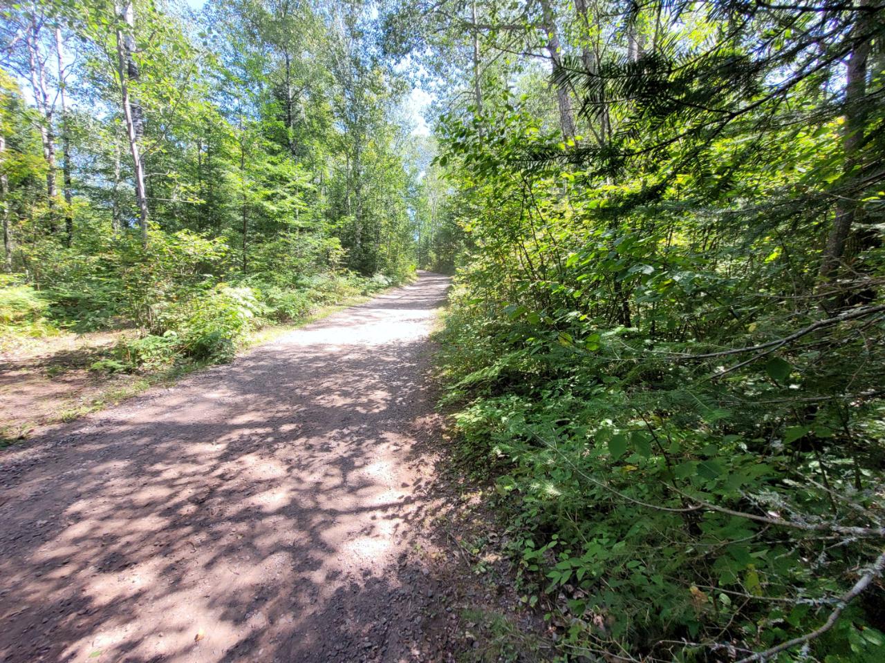 240 Springstead Road Park Falls, WI 54552 - Photo 13 of 20 Gallery Image 13