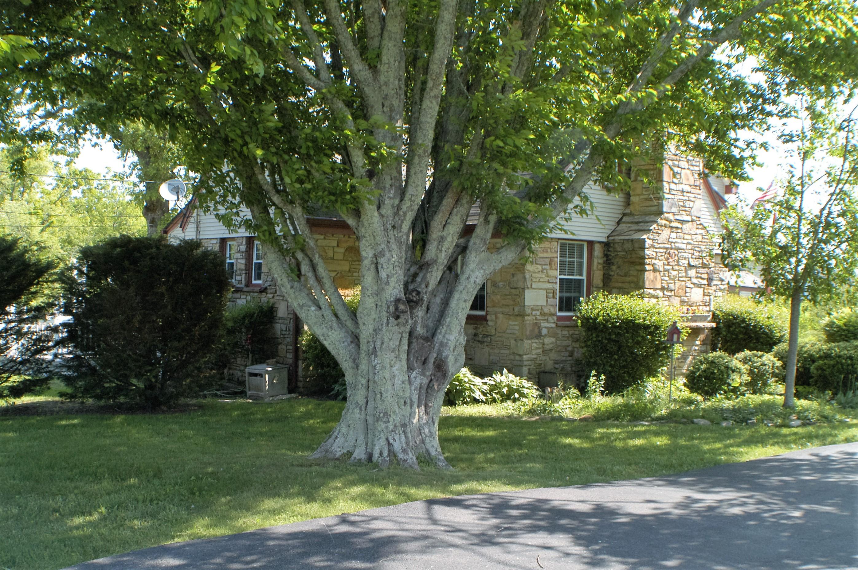 2425 Pigeon Ridge Road Crossville, TN 38555 - Photo 23 of 40 DSC_3662