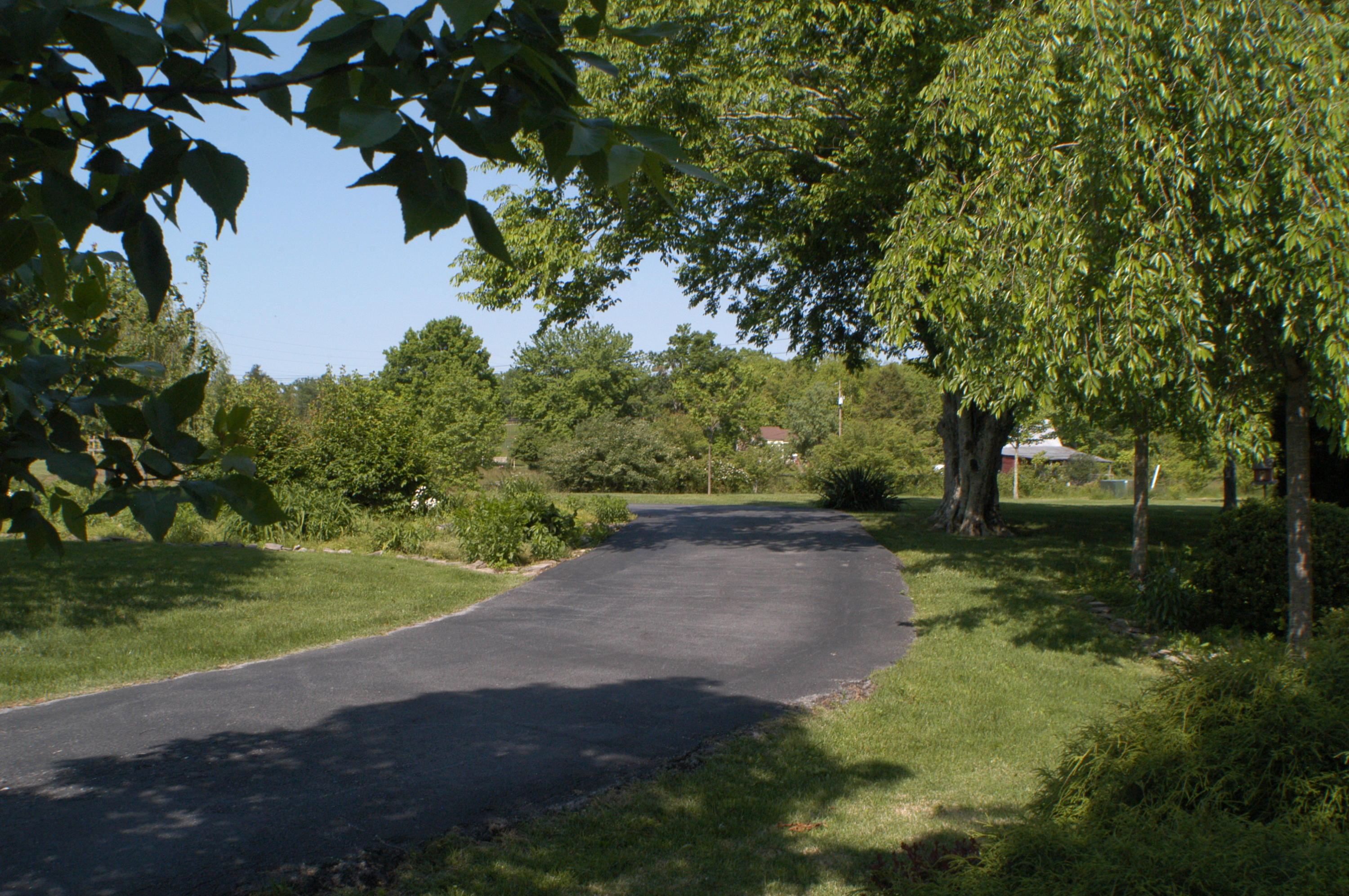 2425 Pigeon Ridge Road Crossville, TN 38555 - Photo 31 of 40 DSC_3687