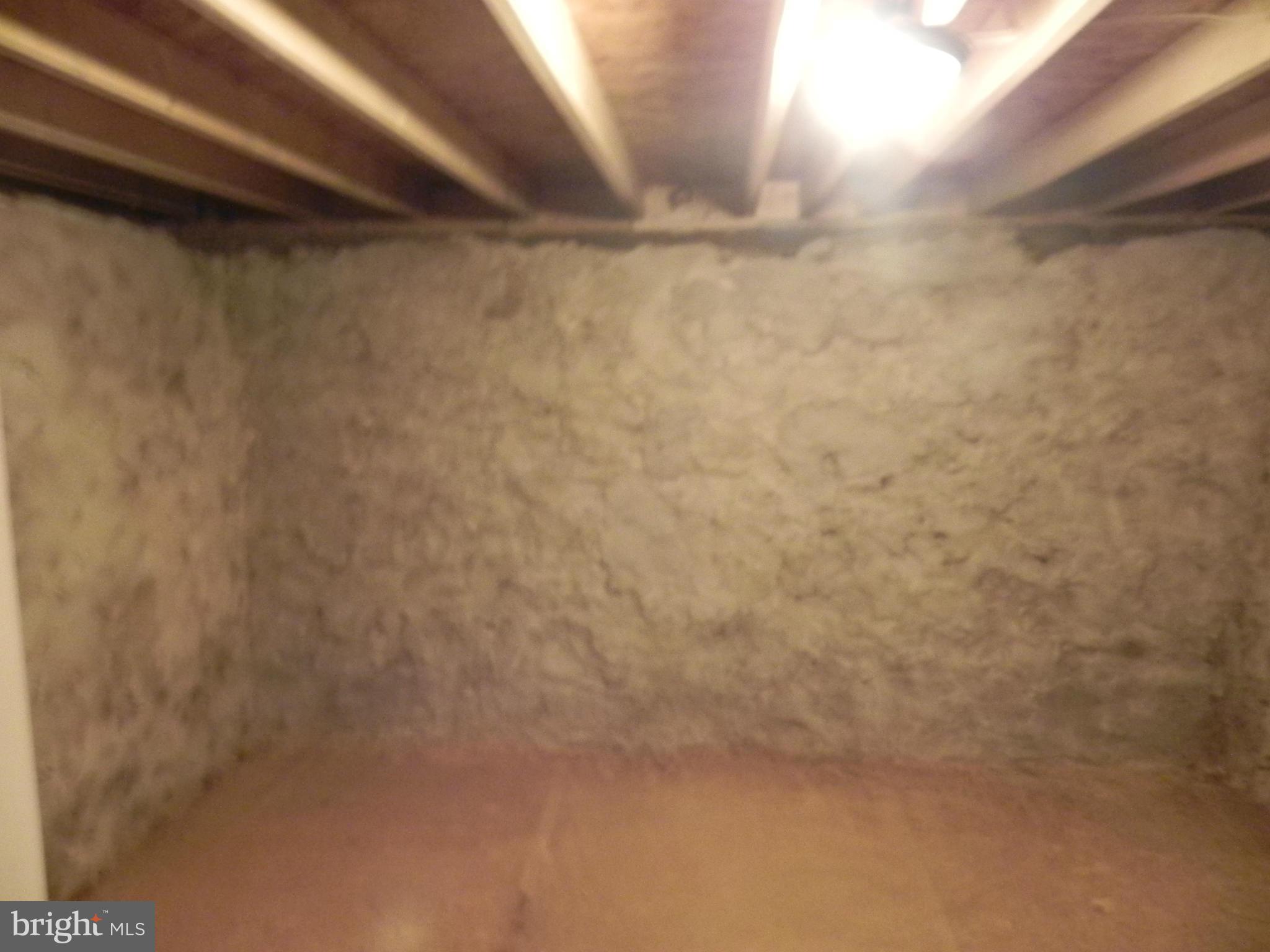 27525 Ridge Road Damascus, MD 20872 - Photo 25 of 30 CELLAR STORAGE