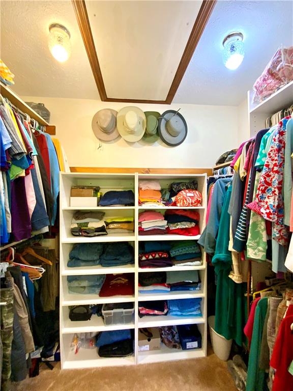 231 Thompson Hill Road Aliquippa, PA 15001 - Photo 19 of 34 Look at this walk-in closet!