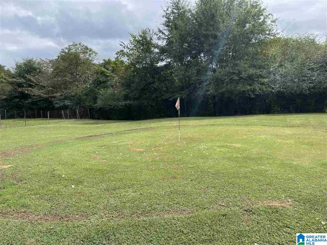 208 Old Downing Ml Road Anniston, AL 36207 - Photo 30 of 50