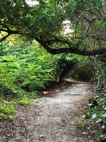 $285,000 | 2805 North Hwy A1A, Unit B, Fort Pierce, FL 34949