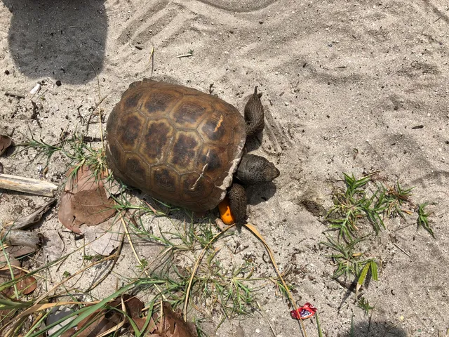 $285,000 | 2805 North Hwy A1A, Unit B, Fort Pierce, FL 34949