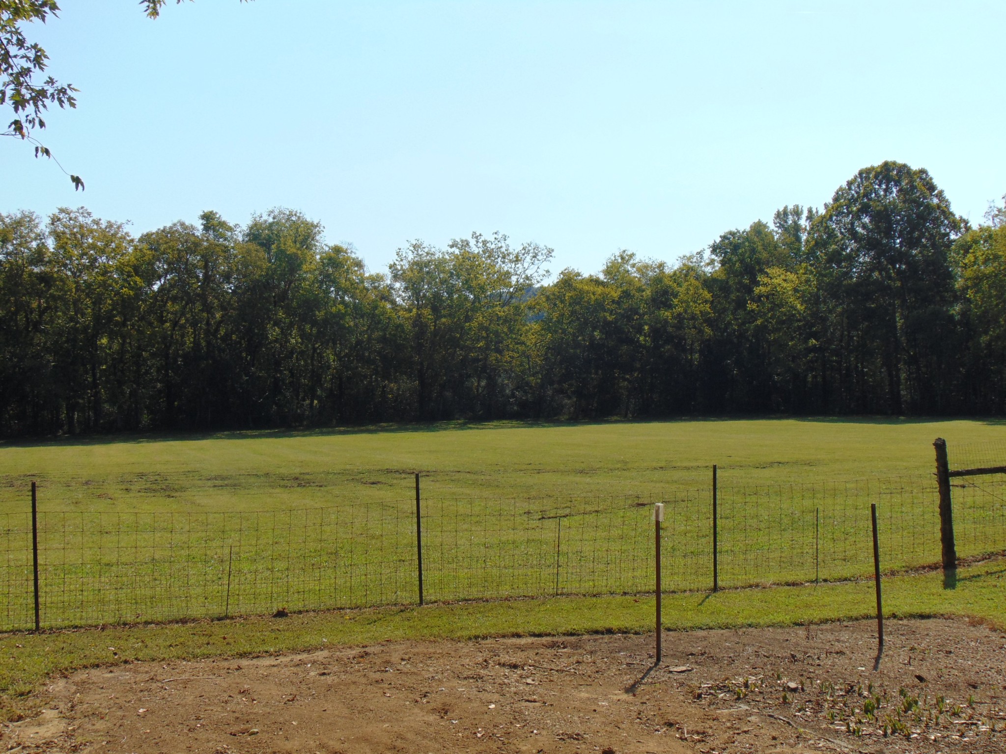 1684 Springplace Road Lewisburg, TN 37091 - Photo 36 of 48 a view of a yard