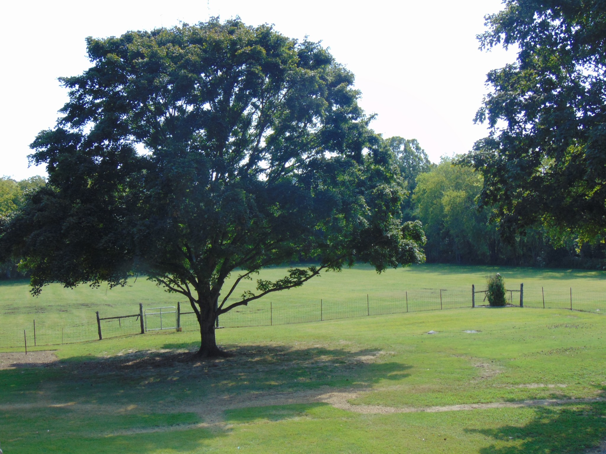 1684 Springplace Road Lewisburg, TN 37091 - Photo 37 of 48 a view of a park