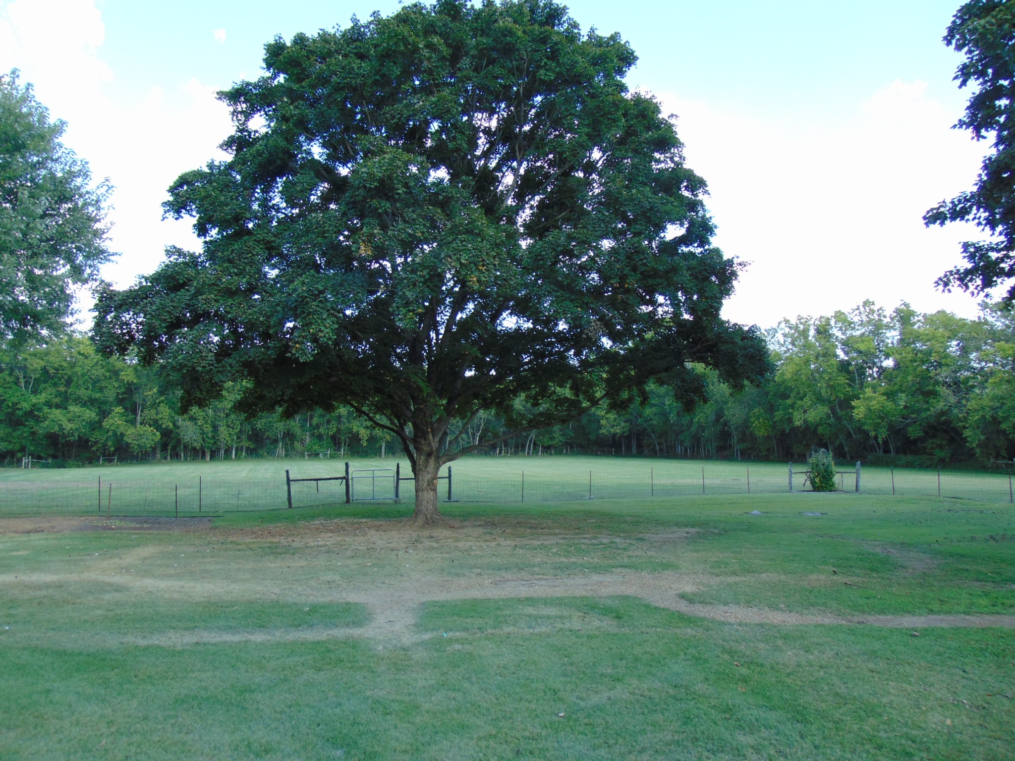 1684 Springplace Road Lewisburg, TN 37091 - Photo 38 of 48 a view of a park