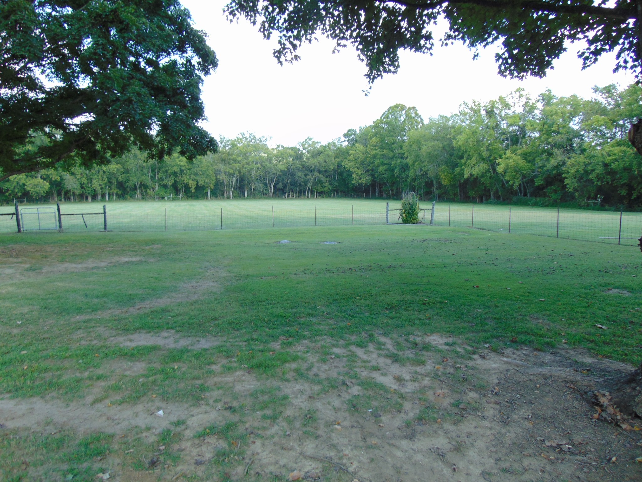 1684 Springplace Road Lewisburg, TN 37091 - Photo 39 of 48 a view of a big yard