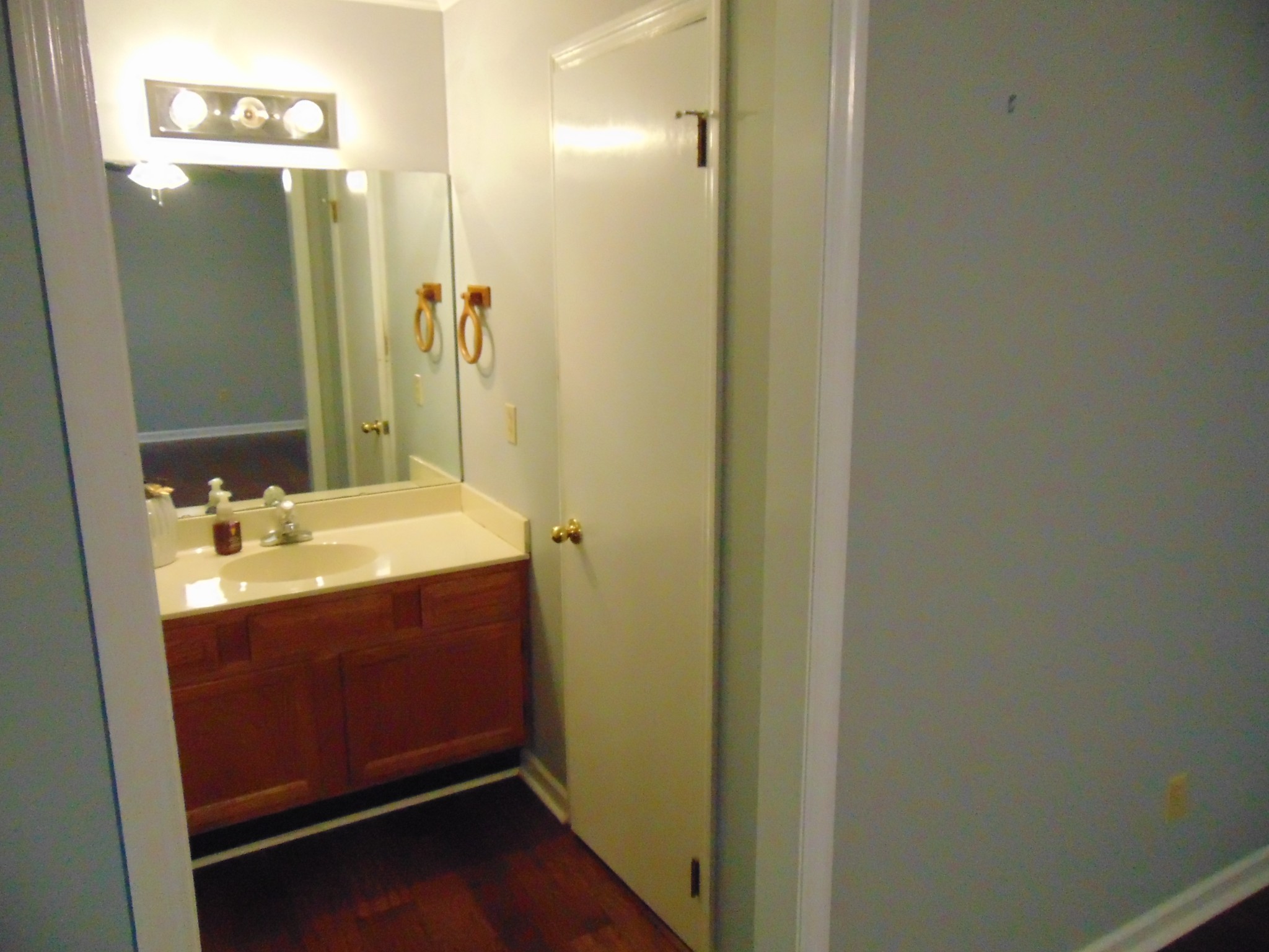 1684 Springplace Road Lewisburg, TN 37091 - Photo 6 of 48 a bathroom with a sink and a mirror