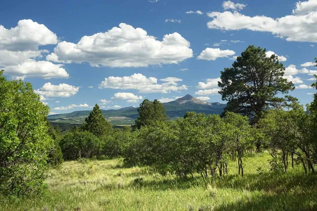 a view of a yard in front of the house