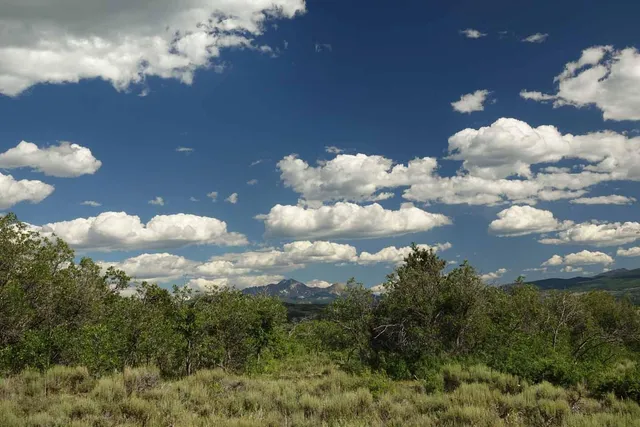 a view of a lake in middle of green field