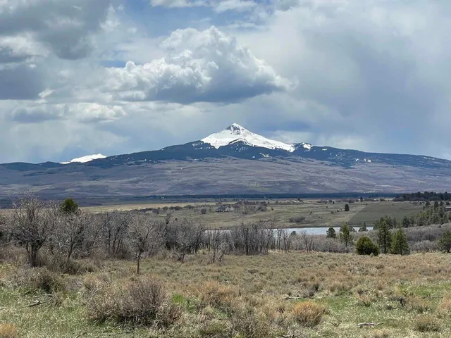 a view of a dry yard