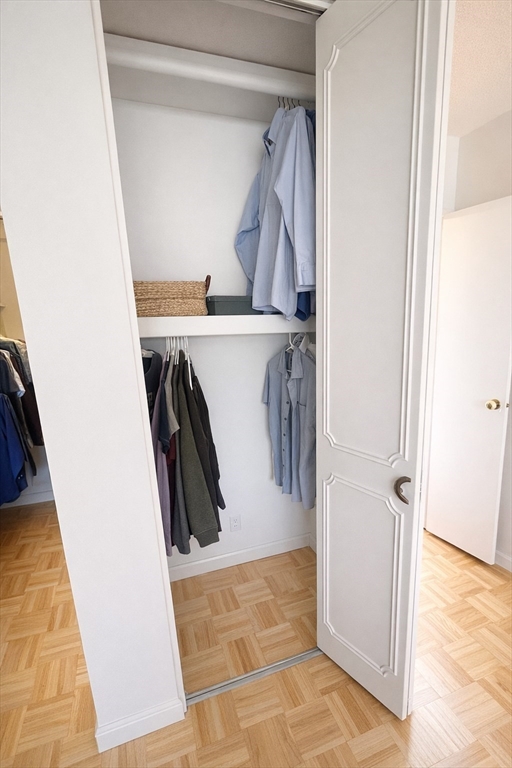 22 Chestnut Place, Unit 210 Brookline, MA 02445 - Photo 11 of 16 a view of walk in closet with clothes