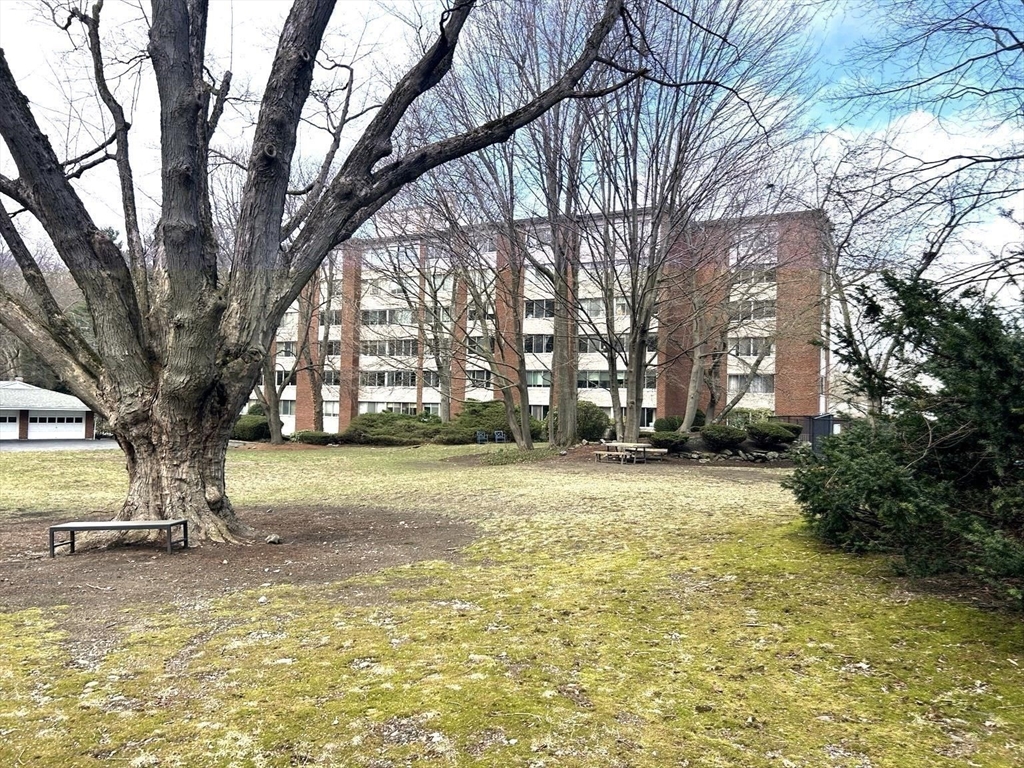 22 Chestnut Place, Unit 210 Brookline, MA 02445 - Photo 14 of 16 a view of a yard with a house and large trees