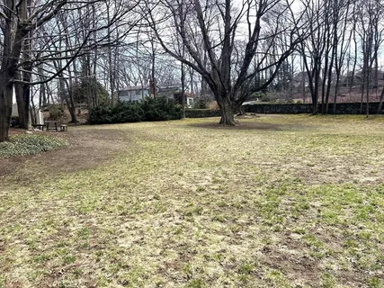 a view of outdoor space with trees