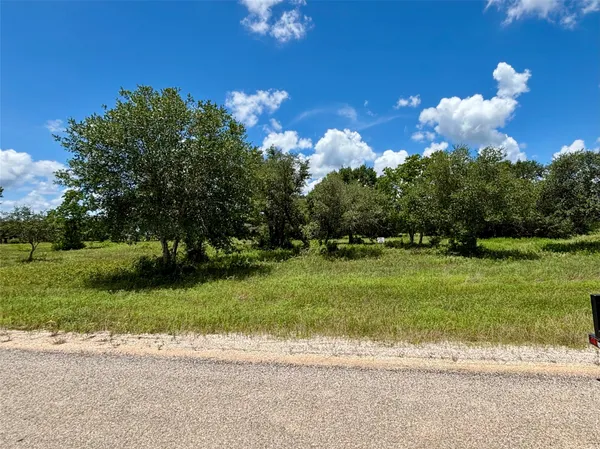 a view of a yard with plants and large trees