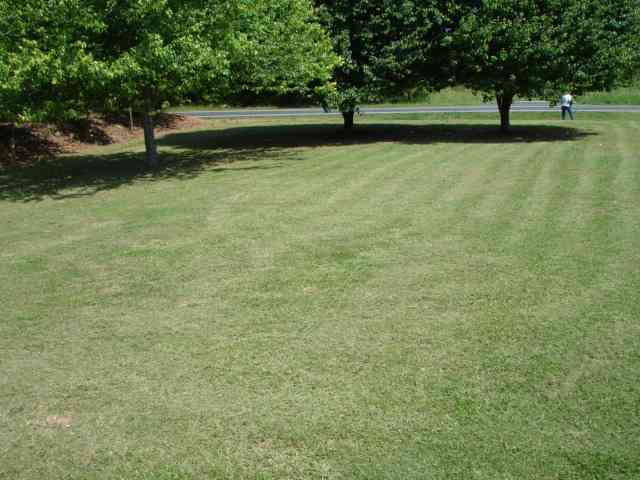 3038 Old Furnace Road Boiling Springs, SC 29316 - Photo 15 of 25