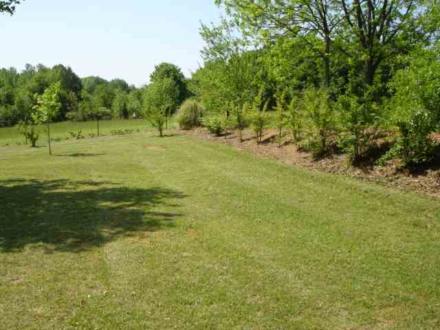3038 Old Furnace Road Boiling Springs, SC 29316 - Photo 17 of 25