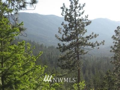2 Graham Road Cle Elum, WA 98922 - Photo 2 of 7 Gallery Image 2