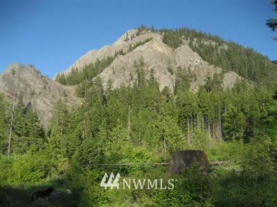 2 Graham Road Cle Elum, WA 98922 - Photo 3 of 7 Gallery Image 3