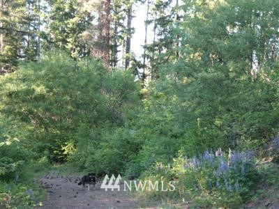 2 Graham Road Cle Elum, WA 98922 - Photo 7 of 7 Gallery Image 7