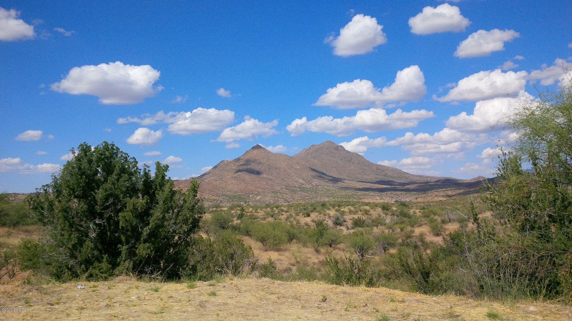 1157 Satula Court Rio Rico, AZ 85648 - Photo 7 of 7