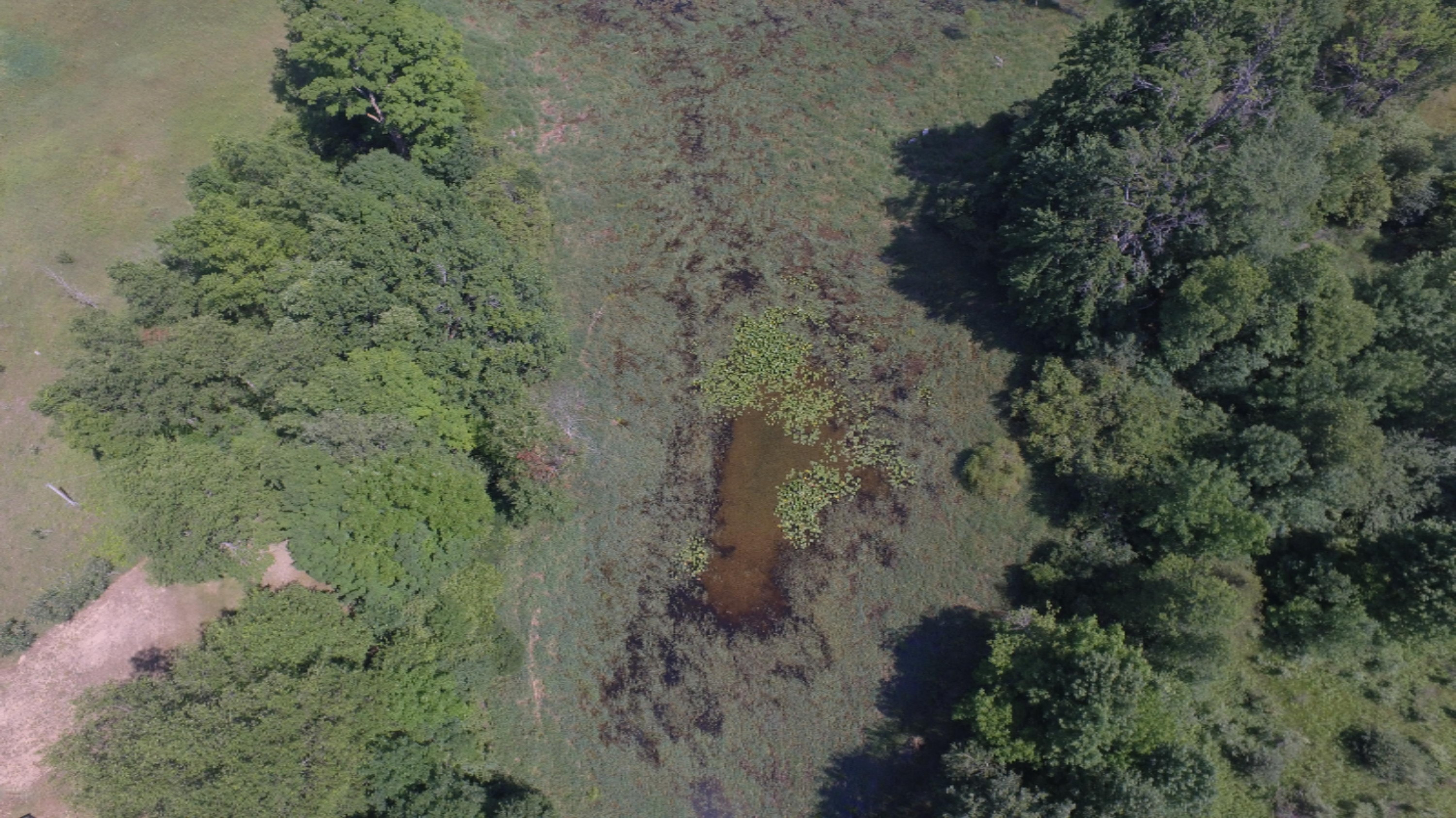 22823 1 Mile Road Reed City, MI 49677 - Photo 54 of 60 DJI_0006