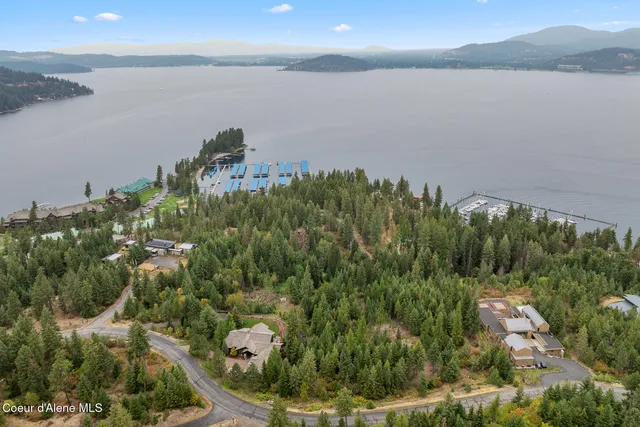 $699,000 | 5343 South Jackleg Trail, Harrison, ID 83833