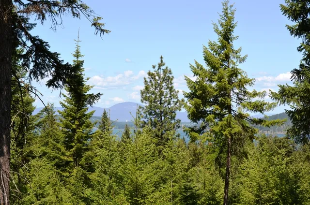 $699,000 | 5343 South Jackleg Trail, Harrison, ID 83833