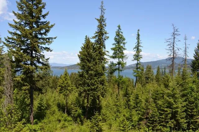 $699,000 | 5343 South Jackleg Trail, Harrison, ID 83833