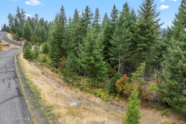 $699,000 | 5343 South Jackleg Trail, Harrison, ID 83833