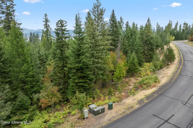 $699,000 | 5343 South Jackleg Trail, Harrison, ID 83833