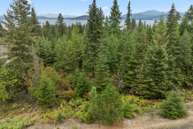 $699,000 | 5343 South Jackleg Trail, Harrison, ID 83833