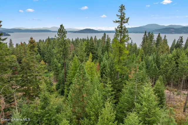 $699,000 | 5343 South Jackleg Trail, Harrison, ID 83833