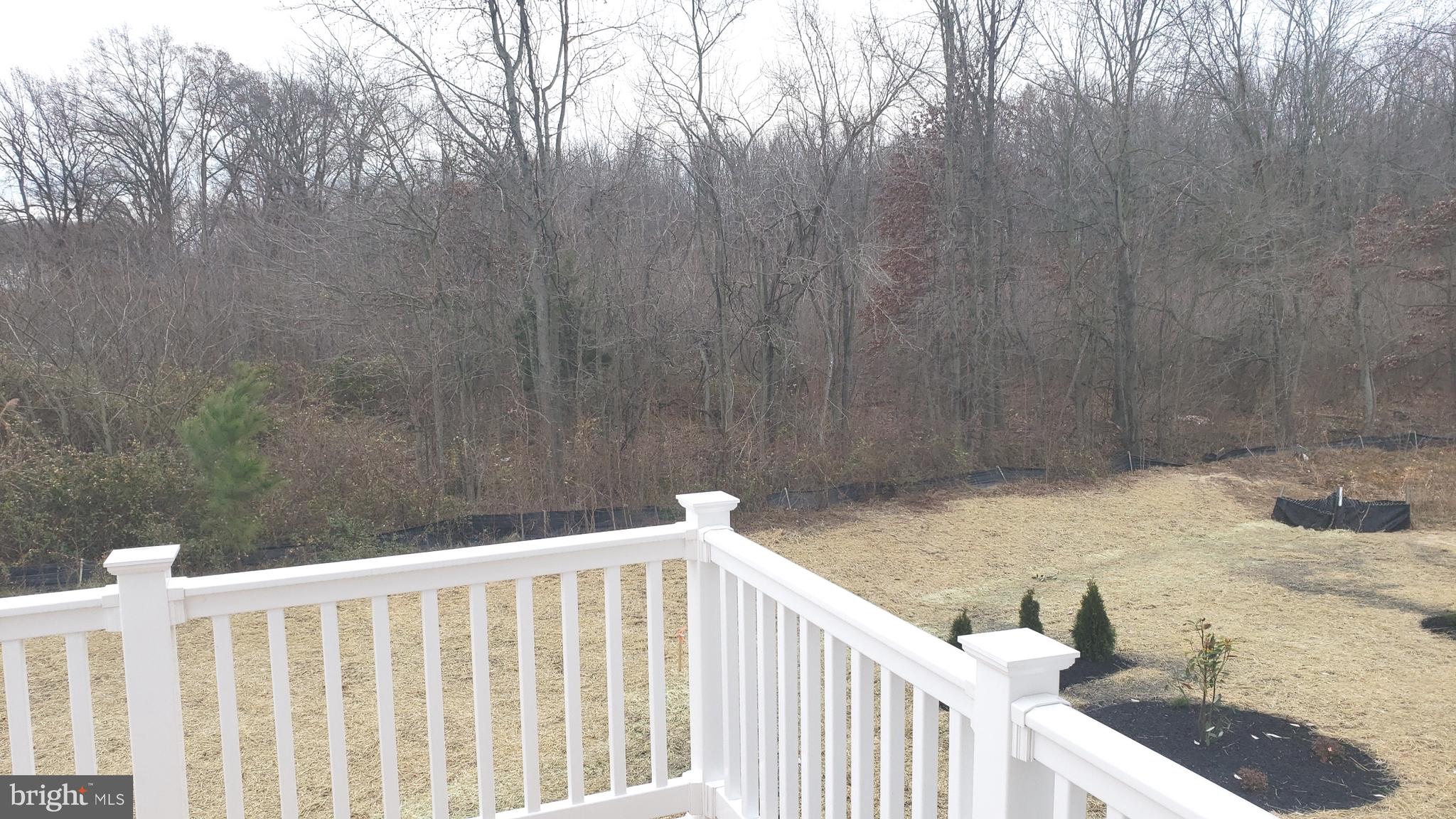 214 Case Road Townsend, DE 19734 - Photo 18 of 18 a view of a backyard