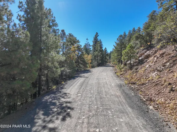 a view of a backyard with green space